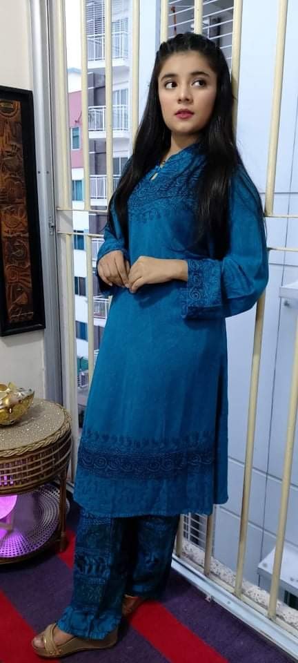 Stylish Embroidered Cotton 2 pcs